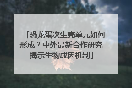 恐龙蛋次生壳单元如何形成？中外最新合作研究揭示生物成因机制