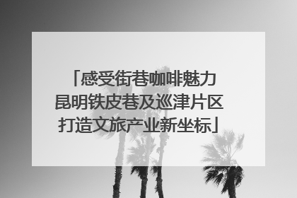 感受街巷咖啡魅力 昆明铁皮巷及巡津片区打造文旅产业新坐标