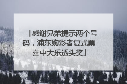 感谢兄弟提示两个号码，浦东购彩者复式票喜中大乐透头奖
