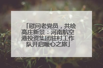 慰问老党员，共绘高庄新景：河南航空港投资集团驻村工作队开启暖心之旅