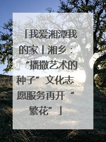 我爱湘潭我的家丨湘乡：“播撒艺术的种子”文化志愿服务再开“繁花”