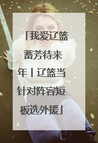 我爱辽篮 蓄芳待来年丨辽篮当针对阵容短板选外援