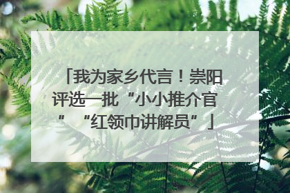 我为家乡代言！崇阳评选一批“小小推介官”“红领巾讲解员”