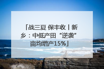 战三夏 保丰收丨新乡：中低产田“逆袭” 亩均增产15%