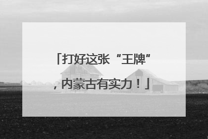 打好这张“王牌”，内蒙古有实力！