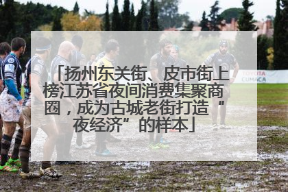 扬州东关街、皮市街上榜江苏省夜间消费集聚商圈，成为古城老街打造“夜经济”的样本