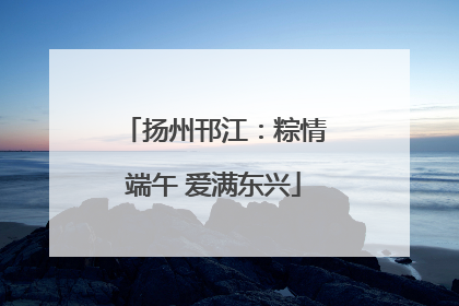 扬州邗江：粽情端午 爱满东兴