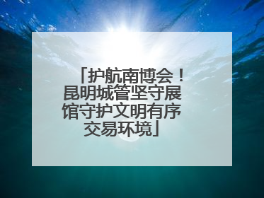 护航南博会！昆明城管坚守展馆守护文明有序交易环境