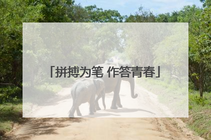 拼搏为笔 作答青春