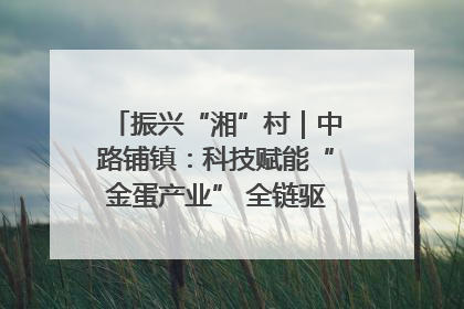 振兴“湘”村｜中路铺镇：科技赋能“金蛋产业” 全链驱动乡村振兴