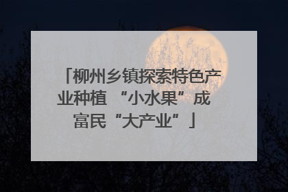 柳州乡镇探索特色产业种植 “小水果”成富民“大产业”