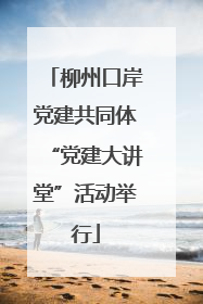 柳州口岸党建共同体“党建大讲堂”活动举行