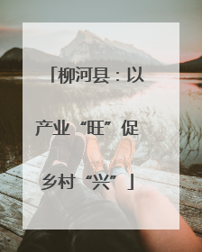 柳河县：以产业“旺”促乡村“兴”
