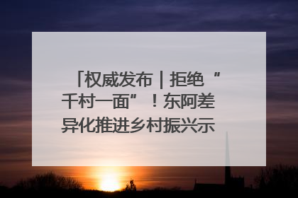 权威发布｜拒绝“千村一面”！东阿差异化推进乡村振兴示范片区建设