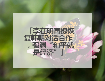 李在明再提恢复韩朝对话合作，强调“和平就是经济”