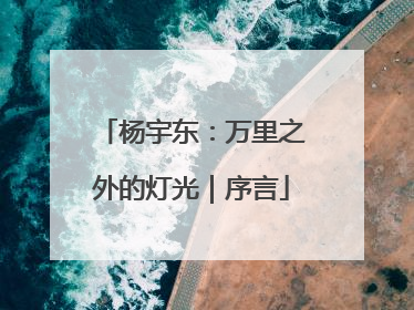 杨宇东：万里之外的灯光｜序言
