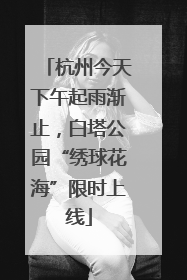 杭州今天下午起雨渐止，白塔公园“绣球花海”限时上线
