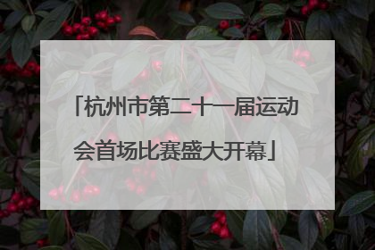 杭州市第二十一届运动会首场比赛盛大开幕