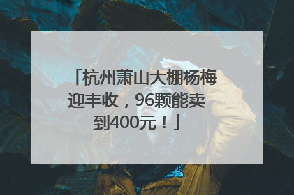 杭州萧山大棚杨梅迎丰收，96颗能卖到400元！