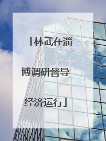 林武在淄博调研督导经济运行