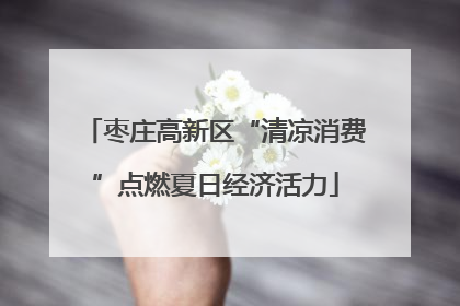 枣庄高新区“清凉消费”点燃夏日经济活力