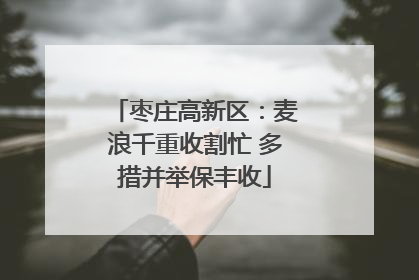 枣庄高新区：麦浪千重收割忙 多措并举保丰收