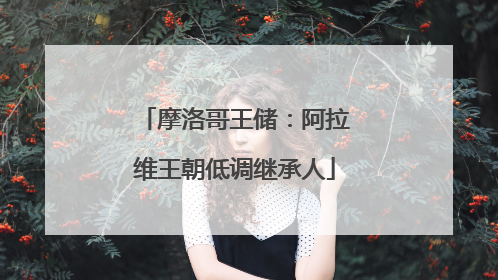 摩洛哥王储：阿拉维王朝低调继承人
