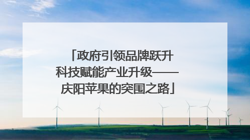 政府引领品牌跃升 科技赋能产业升级——庆阳苹果的突围之路