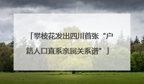攀枝花发出四川首张“户籍人口直系亲属关系谱”