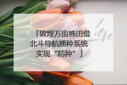 敦煌万亩棉田借北斗导航播种系统实现“精种”
