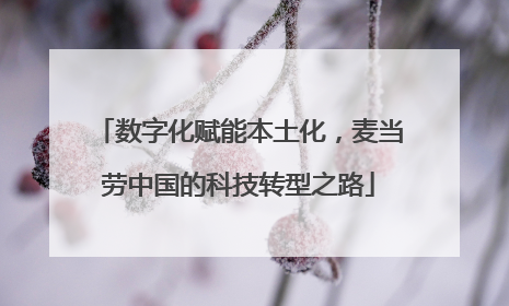 数字化赋能本土化，麦当劳中国的科技转型之路