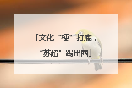 文化“梗”打底，“苏超”踢出圈