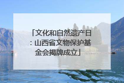 文化和自然遗产日：山西省文物保护基金会揭牌成立