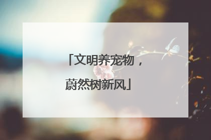 文明养宠物，蔚然树新风