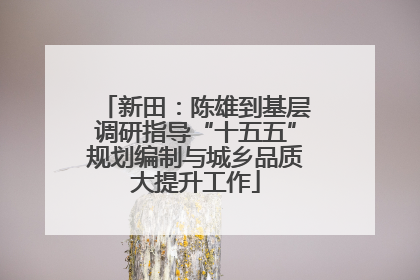 新田：陈雄到基层调研指导“十五五”规划编制与城乡品质大提升工作