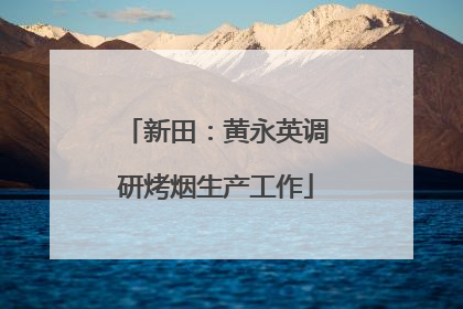新田：黄永英调研烤烟生产工作