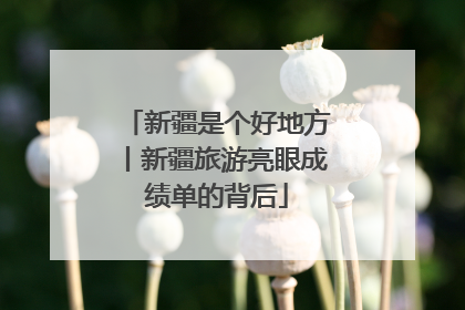新疆是个好地方丨新疆旅游亮眼成绩单的背后