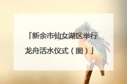 新余市仙女湖区举行龙舟活水仪式（图）
