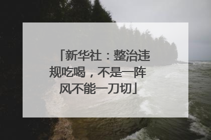 新华社：整治违规吃喝，不是一阵风不能一刀切