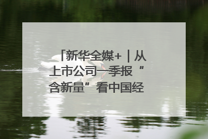新华全媒+｜从上市公司一季报“含新量”看中国经济发展向“新”