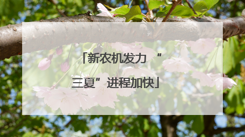 新农机发力 “三夏”进程加快