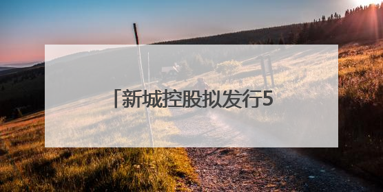 新城控股拟发行5.63亿元ABS：交易所已受理，为偿还美元债做准备