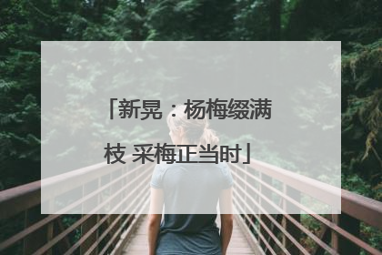 新晃：杨梅缀满枝 采梅正当时