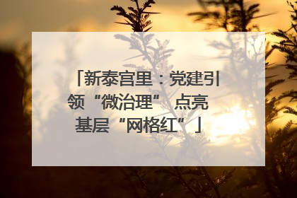 新泰宫里：党建引领“微治理” 点亮基层“网格红”