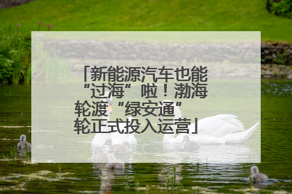 新能源汽车也能“过海”啦！渤海轮渡“绿安通” 轮正式投入运营