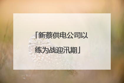 新蔡供电公司以练为战迎汛期