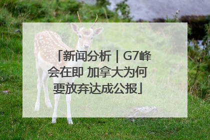 新闻分析｜G7峰会在即 加拿大为何要放弃达成公报
