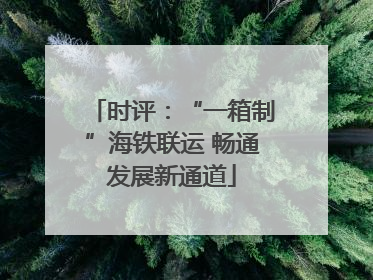时评：“一箱制”海铁联运 畅通发展新通道
