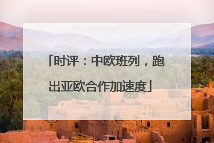 时评：中欧班列，跑出亚欧合作加速度