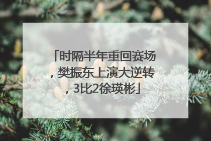 时隔半年重回赛场，樊振东上演大逆转，3比2徐瑛彬